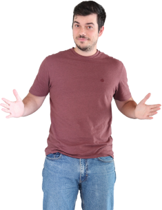 Ricardo Branco